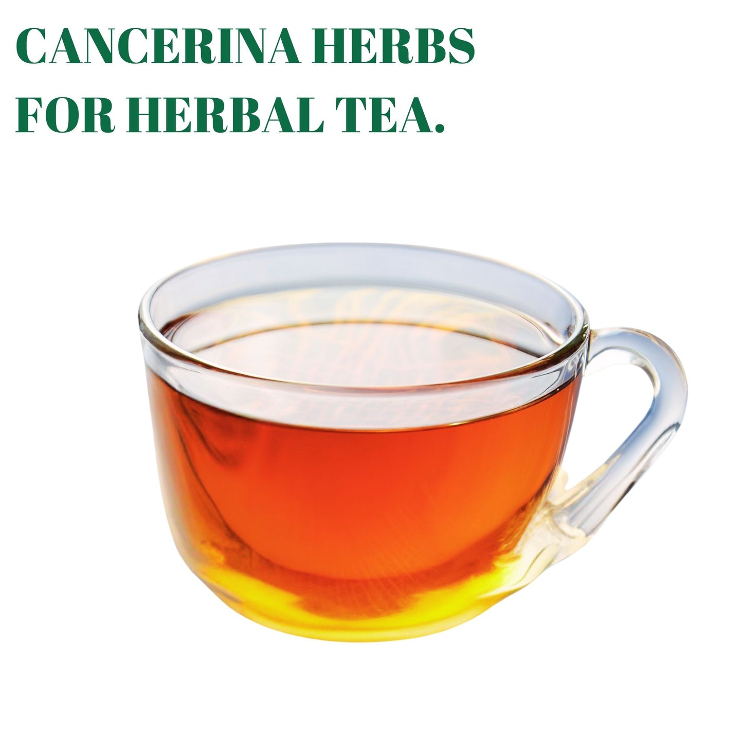 Cancerina Hierba Mexicana 4 oz - 100% natural Cancerina Tea Herbs 4 oz, Calluna Vulgaris, Cancerina Herbs, Hierva mexicana, Anahuac Cancerian, Resealable Bag. Packing in USA(4 oz) | Premium Quality, Herbal Tea, Natural Dried Herbs