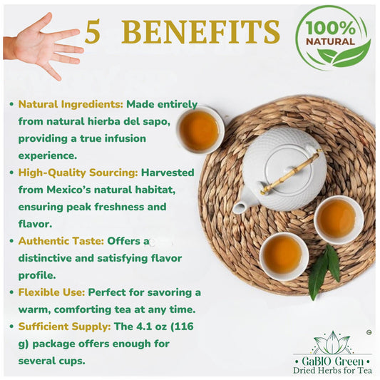 Hierba del sapo Eryngo heterophyllum, frog grass, toad grass, cardo mexicano 100% natural plants Herbal tea (2.1oz/59.5g) | Premium Quality, Herbal Tea, Natural Dried Herbs