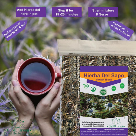 Hierba del sapo (4.1oz/116g) Eryngo heterophyllum, frog grass, toad grass, cardo mexicano 100% natural plants Herbal tea (4.1 oz) | Premium Quality, Herbal Tea, Natural Dried Herbs