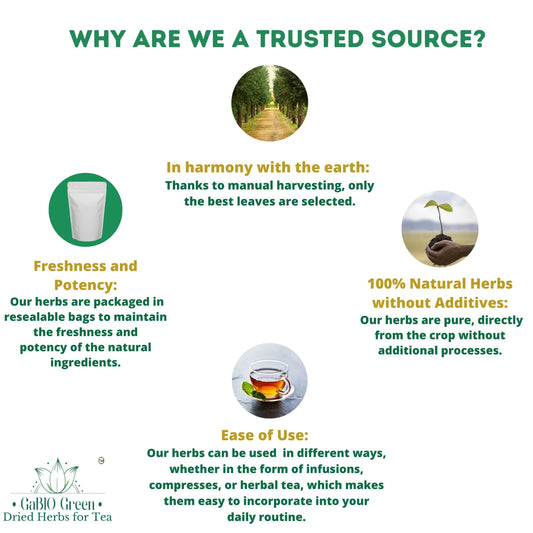 Hoja de guayaba Premium 400+ Leaves (1/2 Pound/8.1oz)  whole Dried Guava leaves. | Premium Quality, Herbal Tea, Natural Dried Herbs