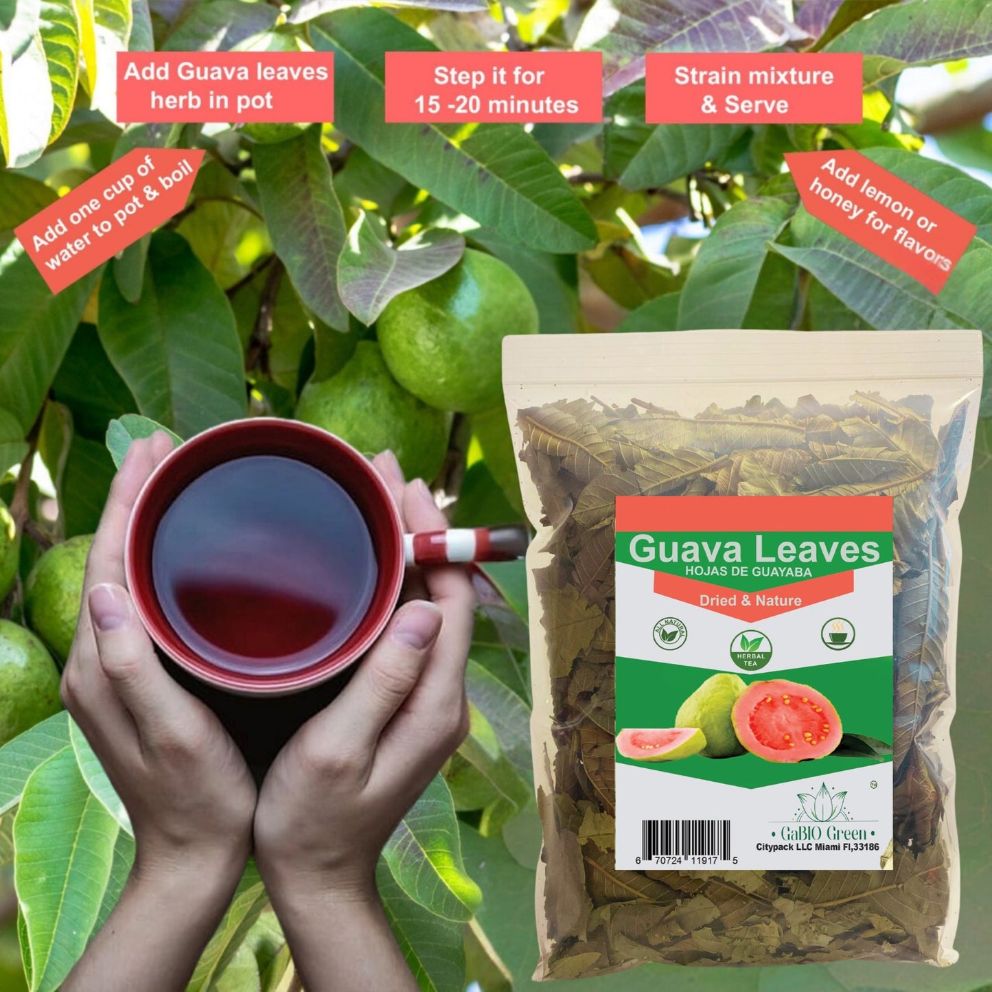 Hoja de guayaba Premium 400+ Leaves (1/2 Pound/8.1oz) whole Dried Guava leaves. | Premium Quality, Herbal Tea, Natural Dried Herbs