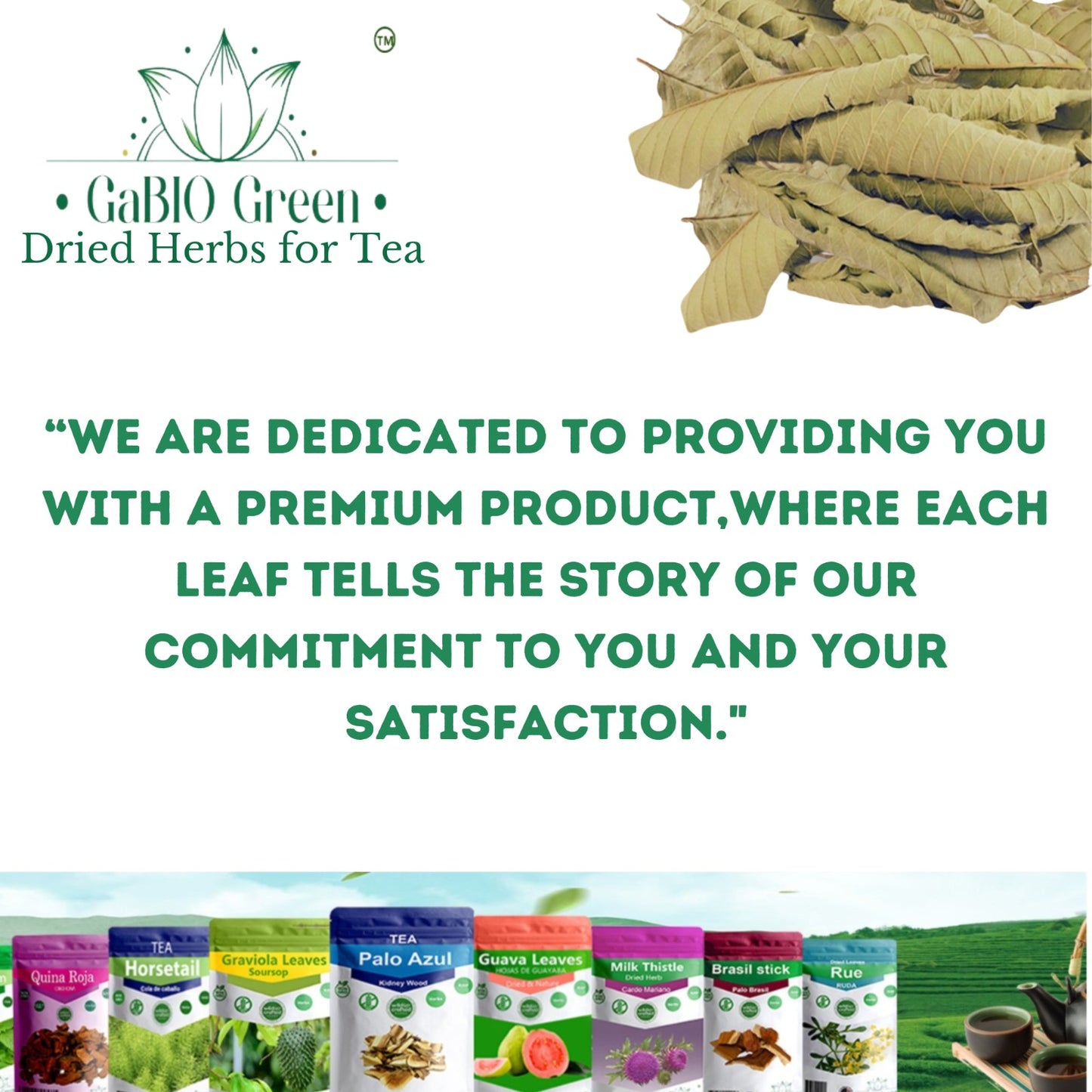 Hoja de guayaba Premium 100+ Leaves (2.1oz / 59.5g) whole Dried Guava leaves. | Premium Quality, Herbal Tea, Natural Dried Herbs