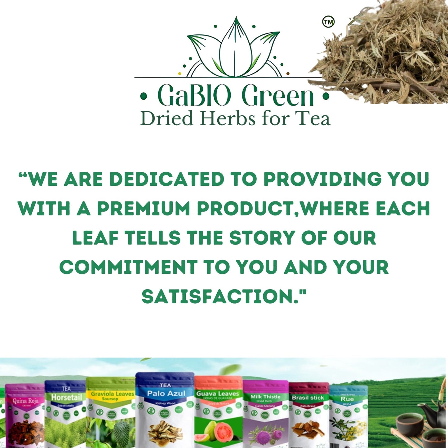 Hierba del sapo Eryngo heterophyllum, frog grass, toad grass, cardo mexicano 100% natural plants Herbal tea (2.1oz/59.5g) | Premium Quality, Herbal Tea, Natural Dried Herbs