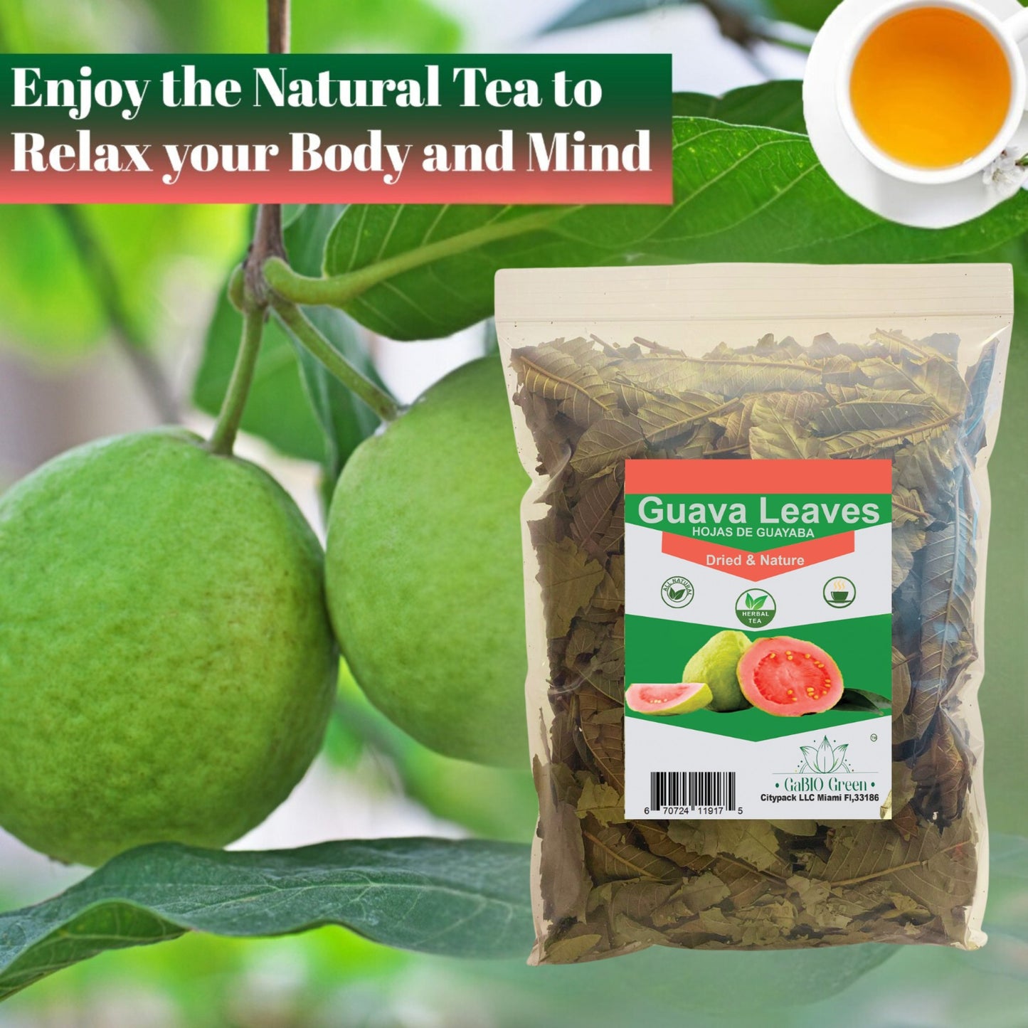 Hoja de guayaba Premium 800+ Leaves (1 Pound/16.1oz) whole Dried Guava leaves. | Premium Quality, Herbal Tea, Natural Dried Herbs