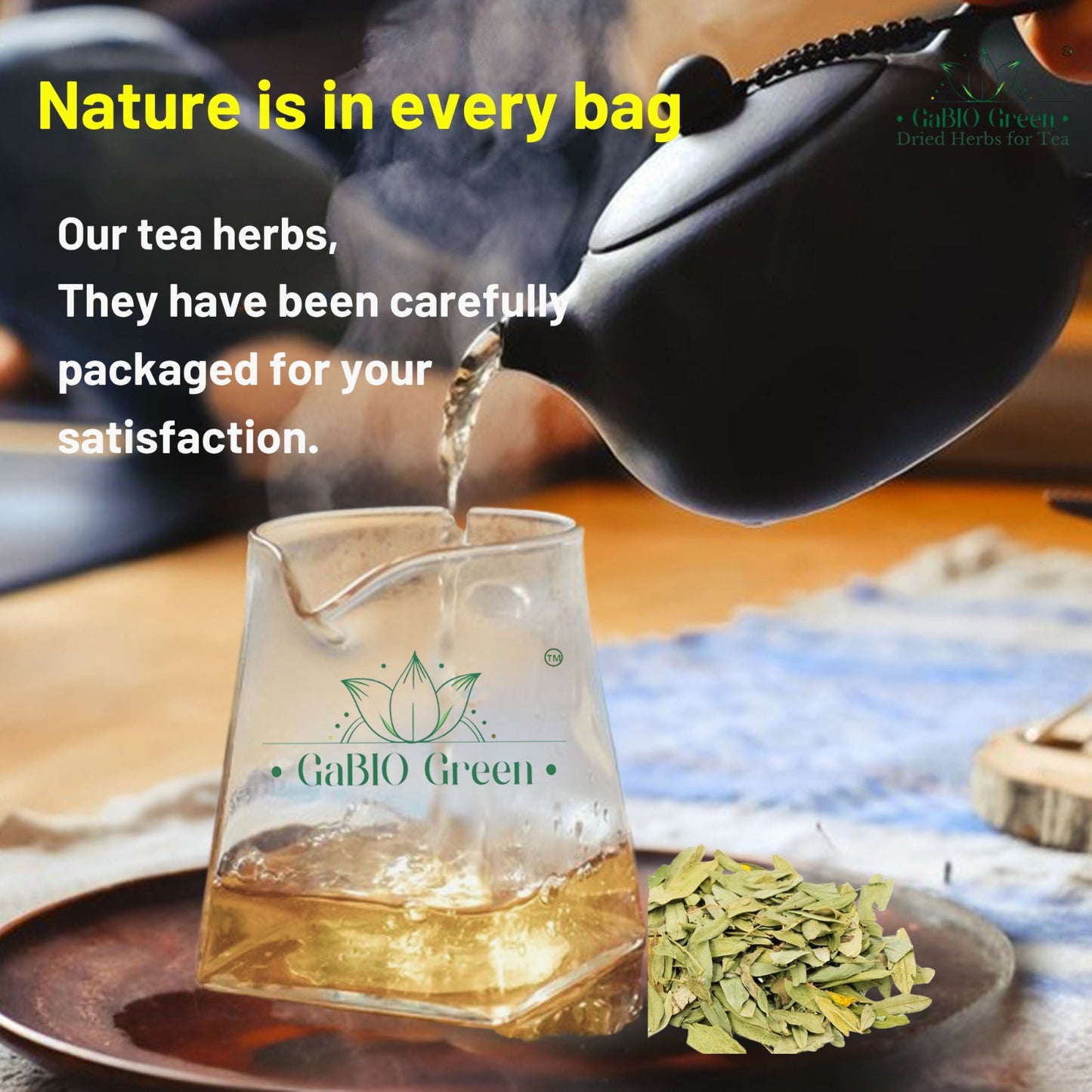 Natural Senna Leaves Hoja Sen Dried Herbal Leaves, Senna Raw Leaf, Hoja Sen Cut & Sifted Herbs, Non-GMO, Gluten-Free, Senna Alexandrina in a Resealable Bag (2oz) | Premium Quality, Herbal Tea, Natural Dried Herbs