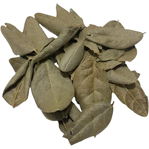Boldo Dried Leaves, whole Boldo Leaf, Detox 1 pound /16 oz, Hojas De Boldo, Peumus Boldus Herbal Tea, Boldo Tea, Packaged in The USA (1Pound) | Premium Quality, Herbal Tea, Natural Dried Herbs