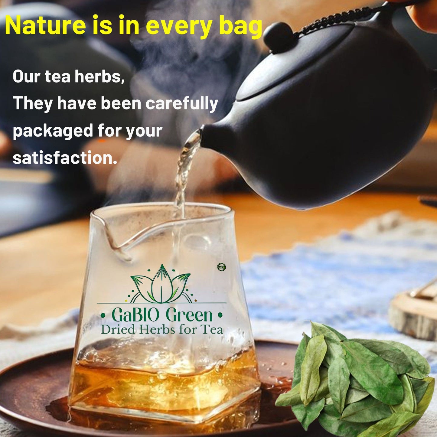 Gabio Green- Whole Soursop leaves(3oz/85gr) 180 + leaves aprox, Big Bag, Hojas de guanabana, tea Soursop, Dried Herbs. (3 oz) 180 leaves aprox. | Premium Quality, Herbal Tea, Natural Dried Herbs