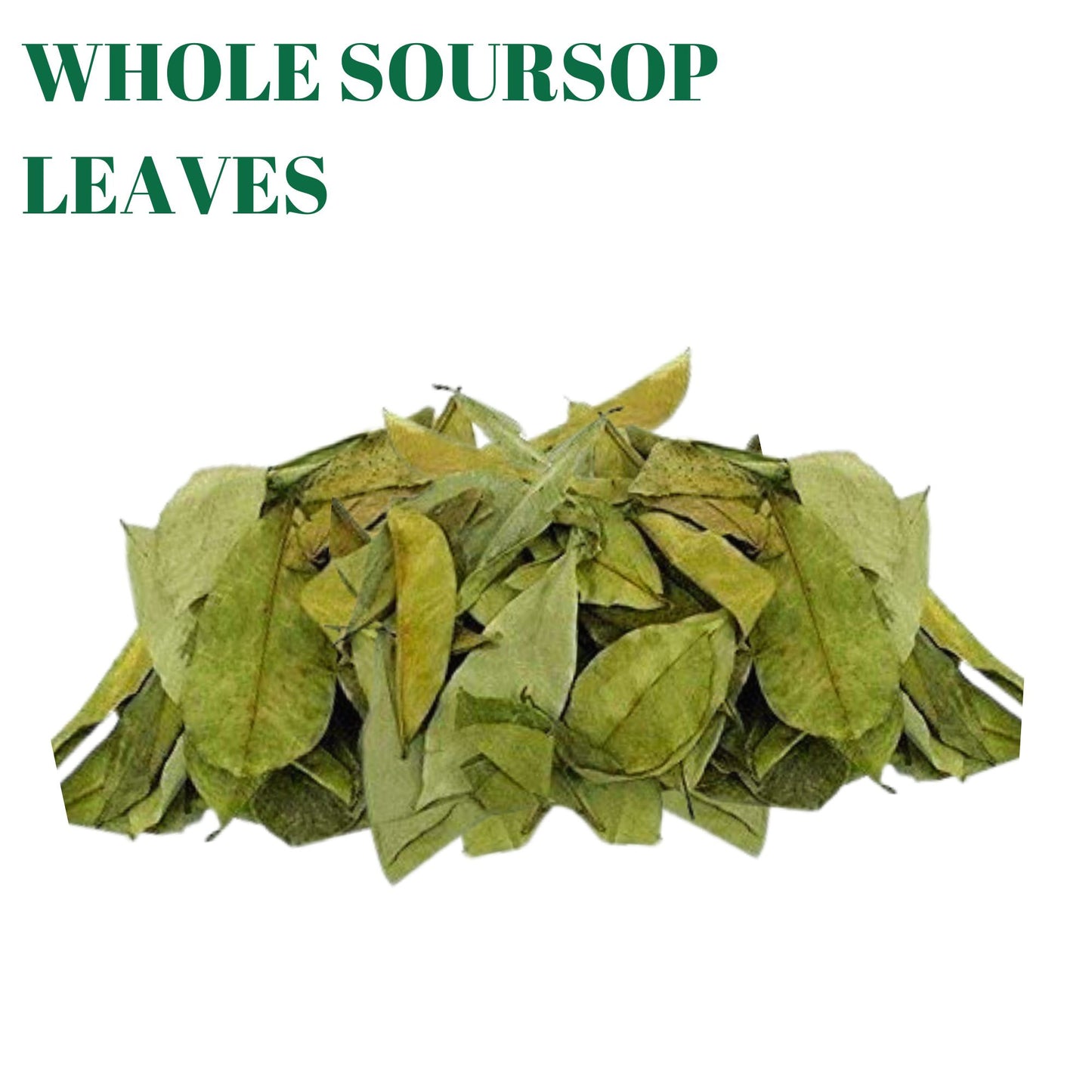Gabio Green- Whole Soursop leaves(3oz/85gr) 180 + leaves aprox, Big Bag, Hojas de guanabana, tea Soursop, Dried Herbs. (3 oz) 180 leaves aprox. | Premium Quality, Herbal Tea, Natural Dried Herbs