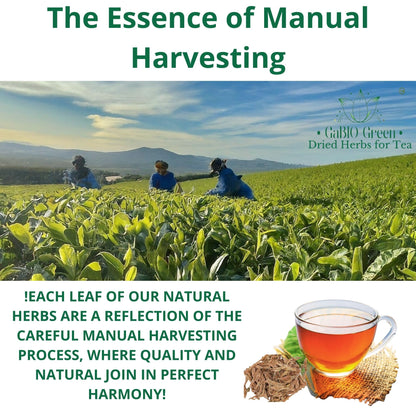 Raiz Mexicana  para tea Herbs, Calluna Vulgaris, Anahuac Canc | Premium Quality, Herbal Tea, Natural Dried Herbs