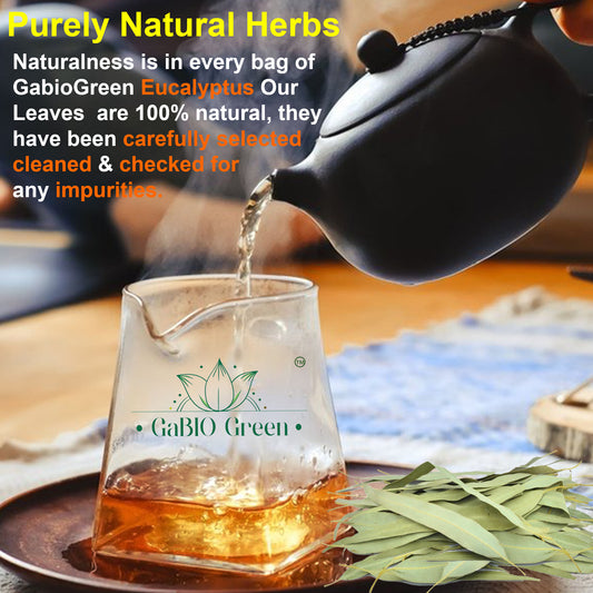 Eucalyptus Herb Leaves, Whole Eucalyptus Leaves, | Premium Quality, Herbal Tea, Natural Dried Herbs