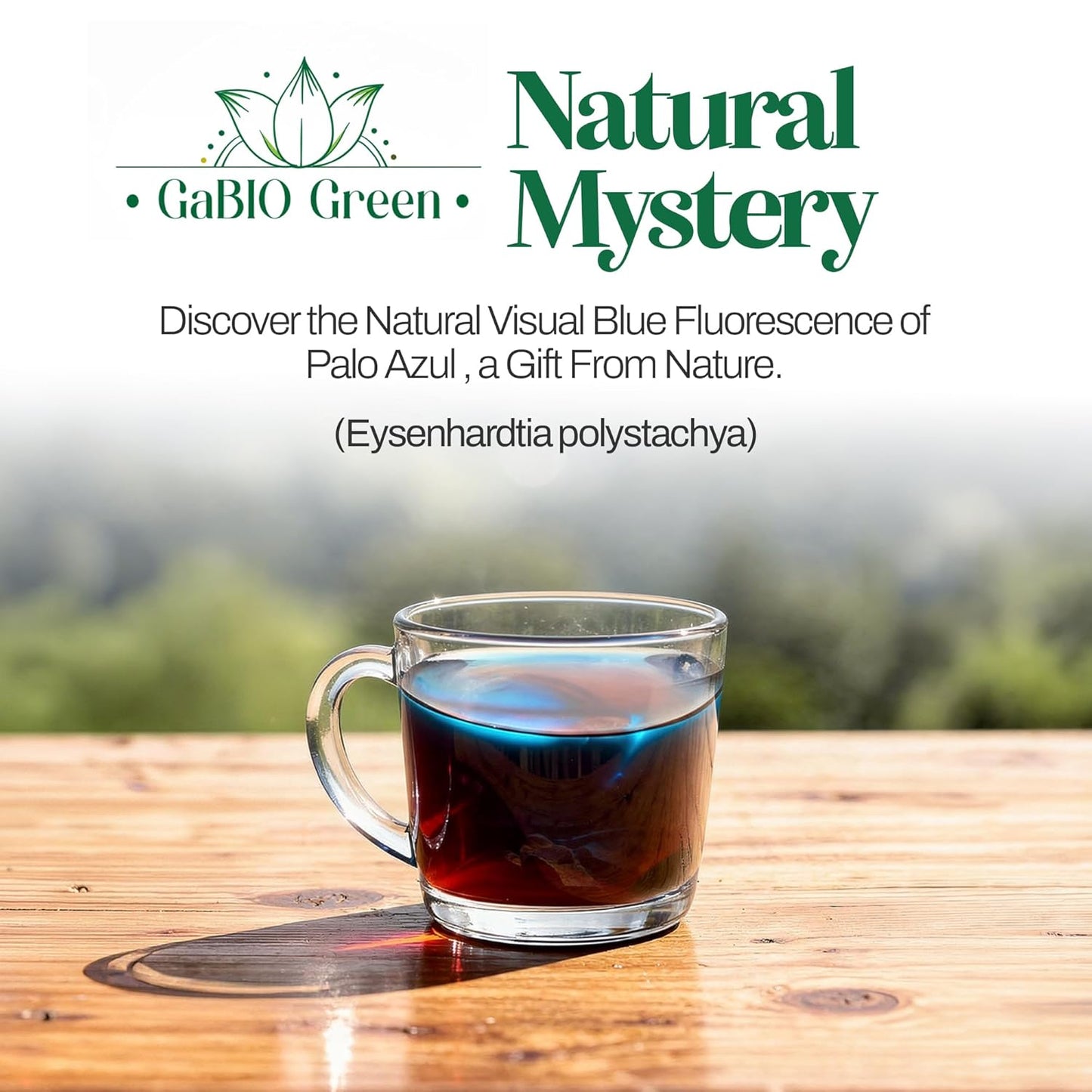 Palo azul, herbal tea (Eysenhardtia Polystachya) - KidneyWood, LIGHT-BLOCK PROTECTION