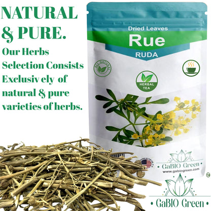 RUE ruda seca  Dried Herbs Ruda Seca ruta