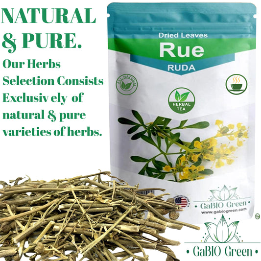 RUE Dried Herbs Ruda Seca, Ruda Graveolens, rue leaves and branches Dried Rue Leaves (Ruta graveolens) | Raw Herbal Ingredient (2 Ounce) | Premium Quality, Herbal Tea, Natural Dried Herbs