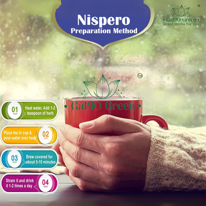 Hand-Selected Loquat Leaves (Hojas de Nispero) - Dried Herbs, Eriobotrya Japonica | Wildcrafted, Non-GMO