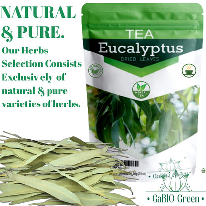 Whole Eucalyptus Leaves eucalipto