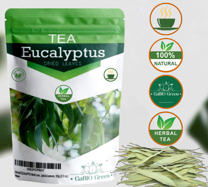 Whole Eucalyptus Leaves eucalipto