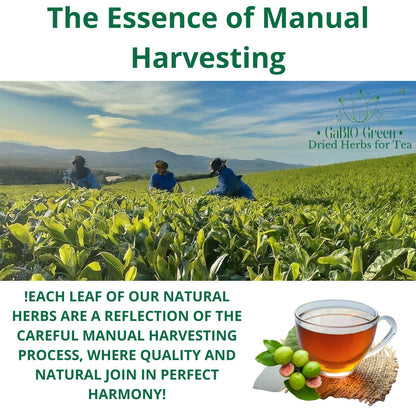 Hoja de guayaba  Premium  whole Dried Guava leaves. | Premium Quality, Herbal Tea, Natural Dried Herbs