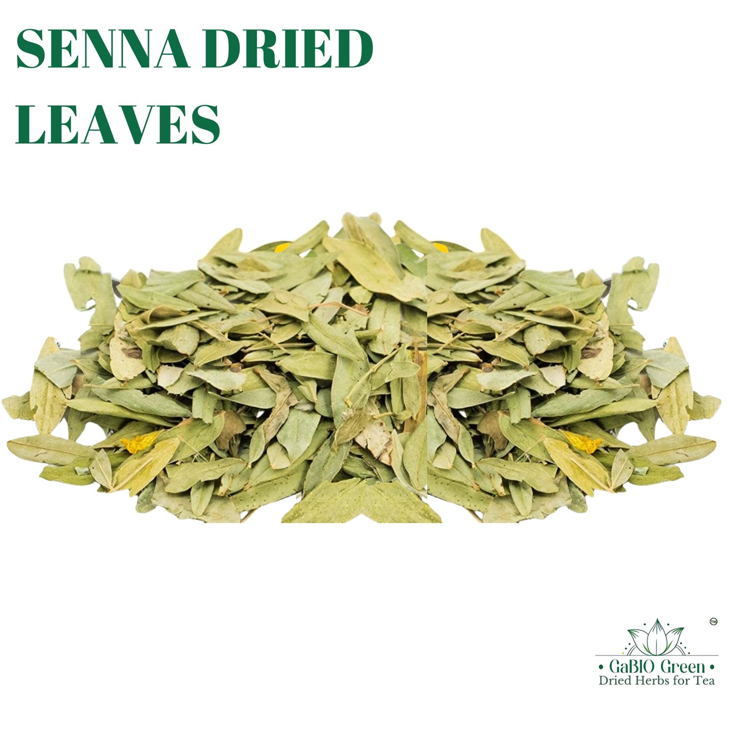 Senna Leaves Raw Leaf, Hoja Sen Cut & Sifted Herbs, Non-GMO, Gluten-Free, Senna Alexandrina in a Resealable Bag | Premium Quality, Herbal Tea