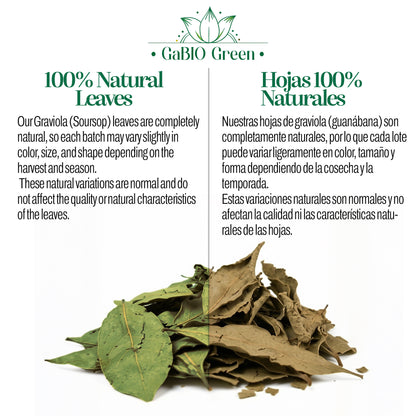 Dried Soursop Leaves (Hoja de Guanábana) | 100% Natural Whole Leaf Herbal Tea