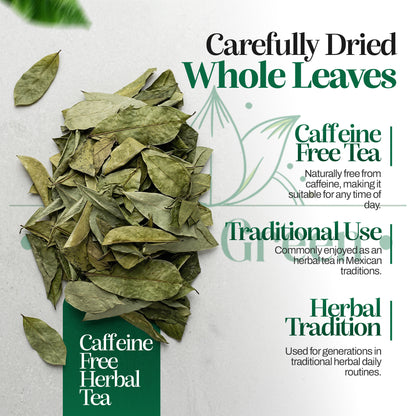Dried Soursop Leaves (Hoja de Guanábana) | 100% Natural Whole Leaf Herbal Tea