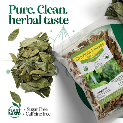 Dried Soursop Leaves (Hoja de Guanábana) | 100% Natural Whole Leaf Herbal Tea