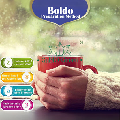 Boldo  Dried Leaves, whole Boldo Leaf Hojas De Boldo, Peumus Boldus Herbal Tea, Boldo Tea,Premium Quality, Herbal Tea, Natural Dried Herbs