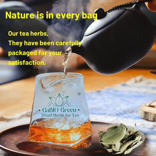 Gabio Green Boldo Dried Leaves, (3oz/85 GR) whole Boldo Leaf,  Detox, Hojas De Boldo, Peumus Boldus Herbal Tea, Boldo Tea, Packaged in The USA (3oz) | Premium Quality, Herbal Tea, Natural Dried Herbs