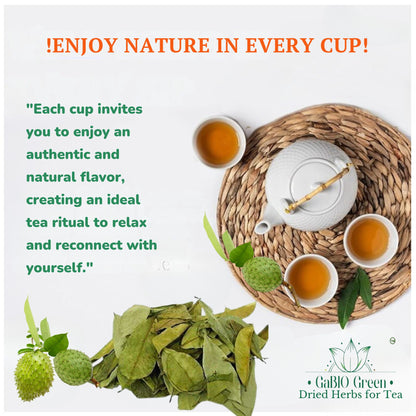 Soursop leaves Big Bag, Hojas de guanabana, tea Soursop, Dried Herbs. | Premium Quality, Herbal Tea, Natural Dried Herbs